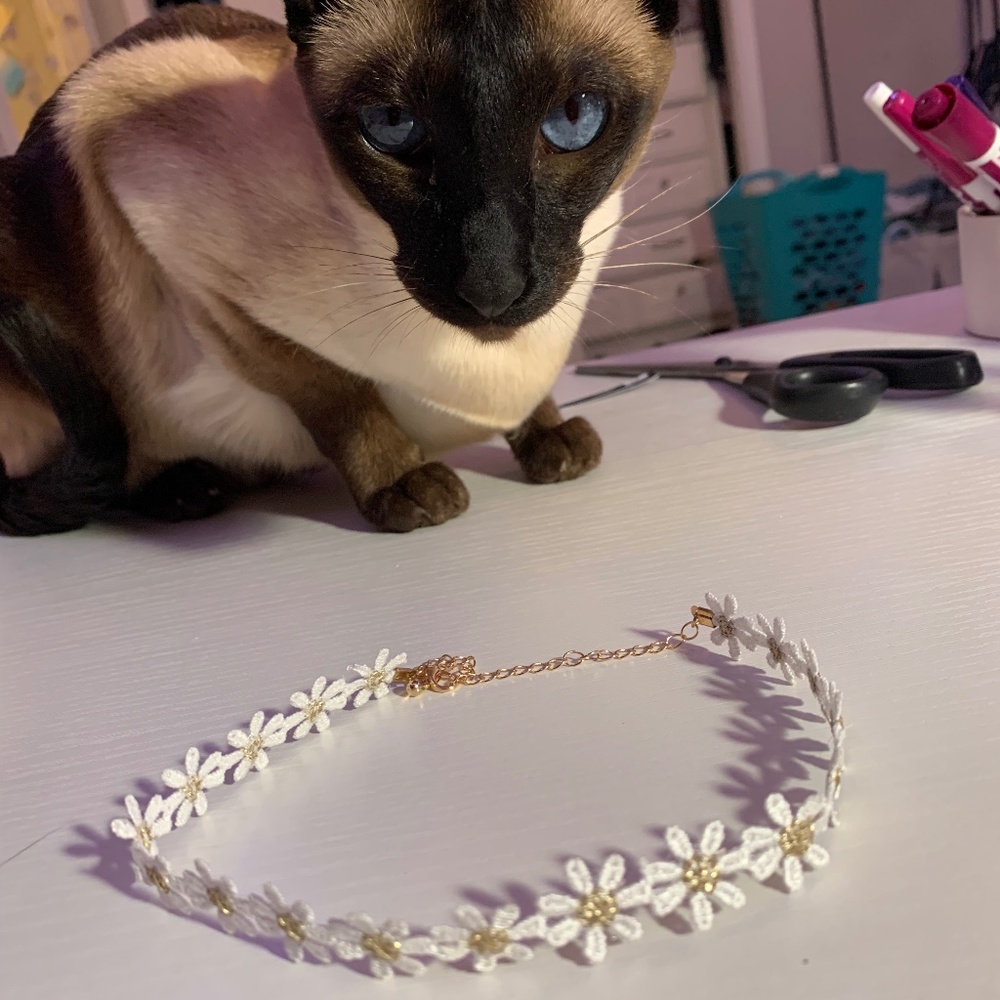A daisy choker necklace